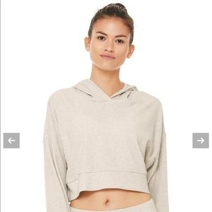 Alo Muse Hoodie in bone heather